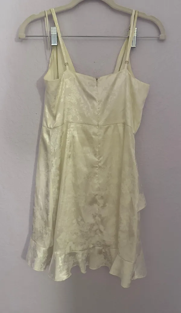 Altar'd State Dress - Image 3