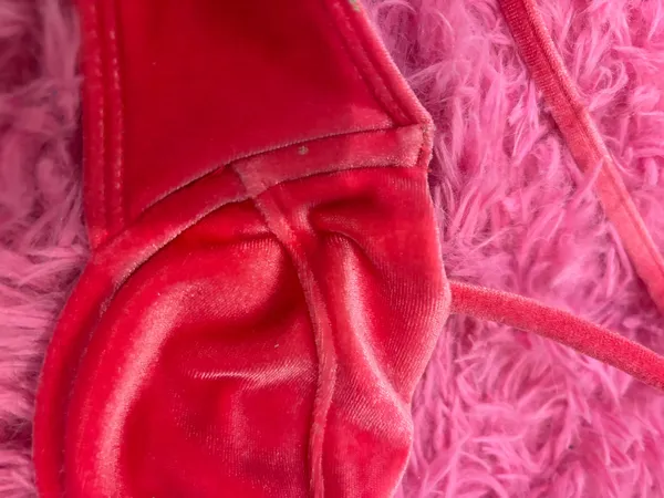 Kendall + Kylie Velvet Bikini Set - Image 2
