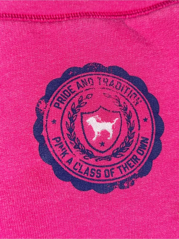 Vintage! VS PINK My Favorite Sweats! - Image 2