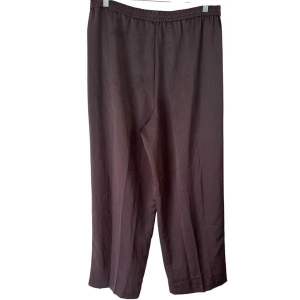 NWT Madewell The Easy Pull On Track Pants Satin Racer Stripe Size XL - Image 4