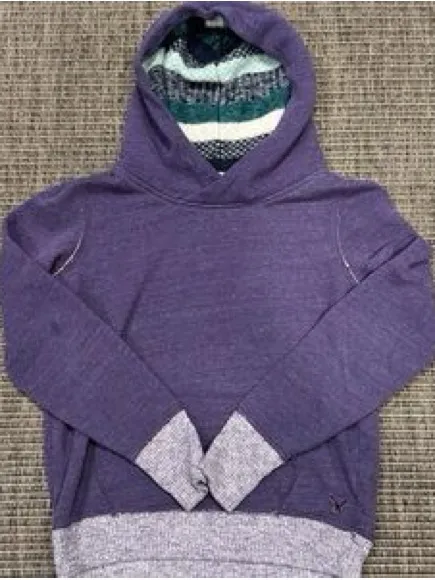 American Eagle purple hoodie teal fleece-lined sweatshirt size medium - Image 4