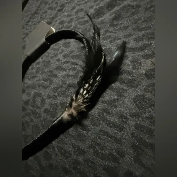 Black Feather Headband - Image 2