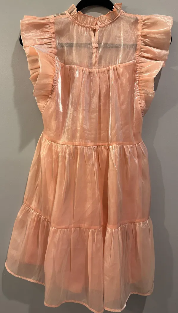 Entro Shimmery High Neck Ruffle Sleeve Dress - Image 5