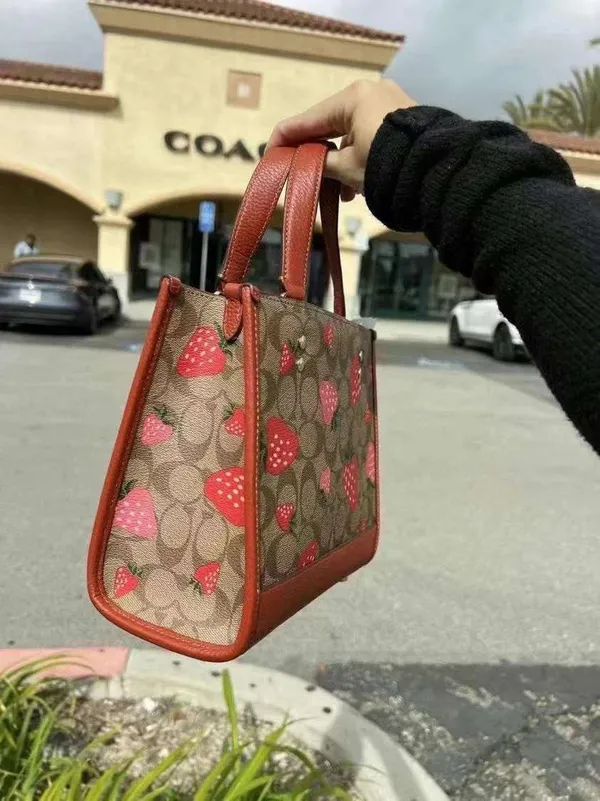coach Dempsey Tote 22 In Signature Canvas With Wild Strawberry Print CH324 - Image 3