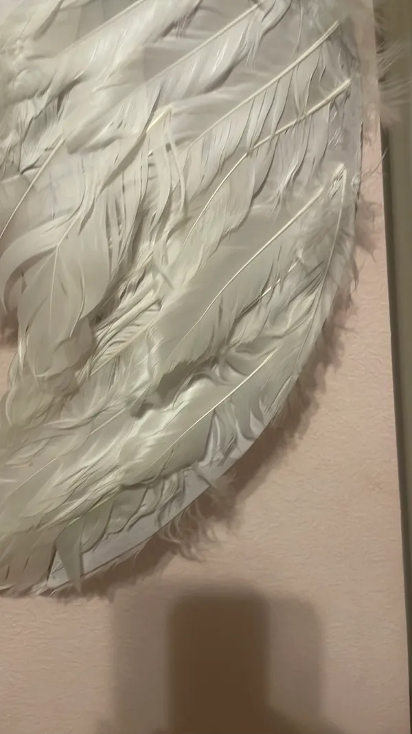 Angel Wings White - Image 4