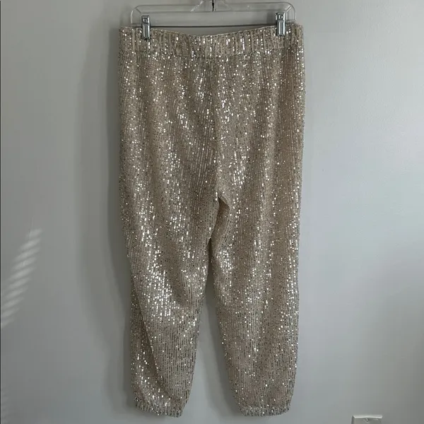Loft Sequin Joggers Champagne - Image 5