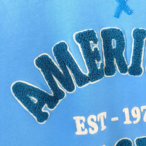 American‎ Eagle Cropped Sweatshirt Blue Graphic Logo Crewneck Pullover Size M - Image 2