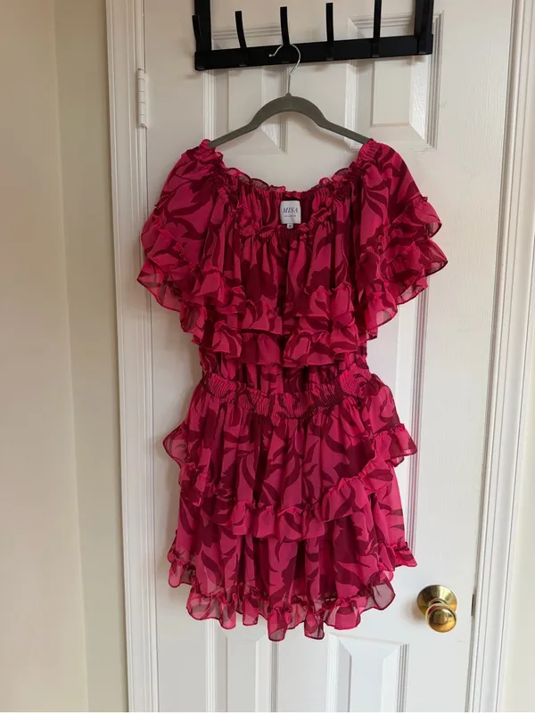 MISA Los Angeles Isella Graphic Floral Ruffle Mini Dress M - Image 3
