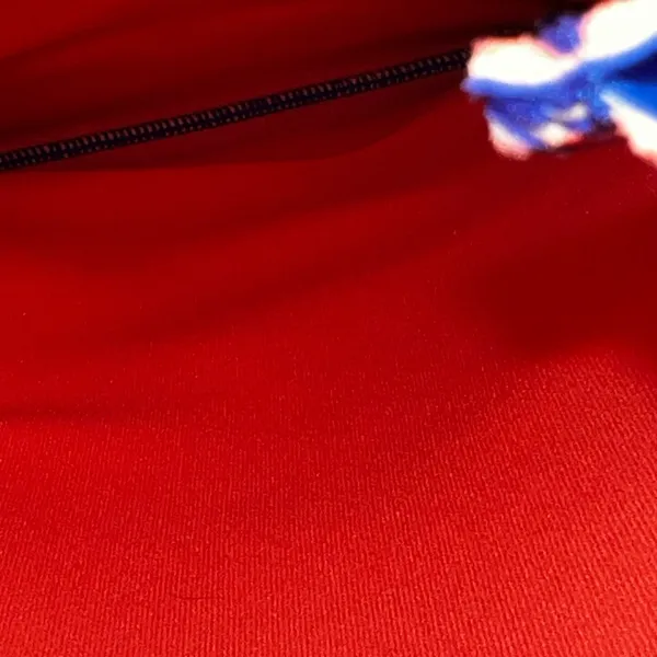 FINAL PRICE Triangl Blue Drawstring Bag - Image 4