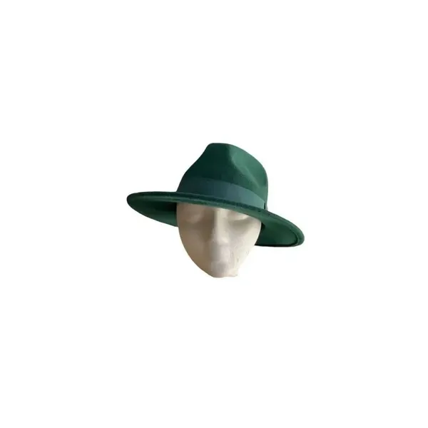 ✨Aldo Green Nydaydda Fedora Sz S/M Hat✨ - Image 6