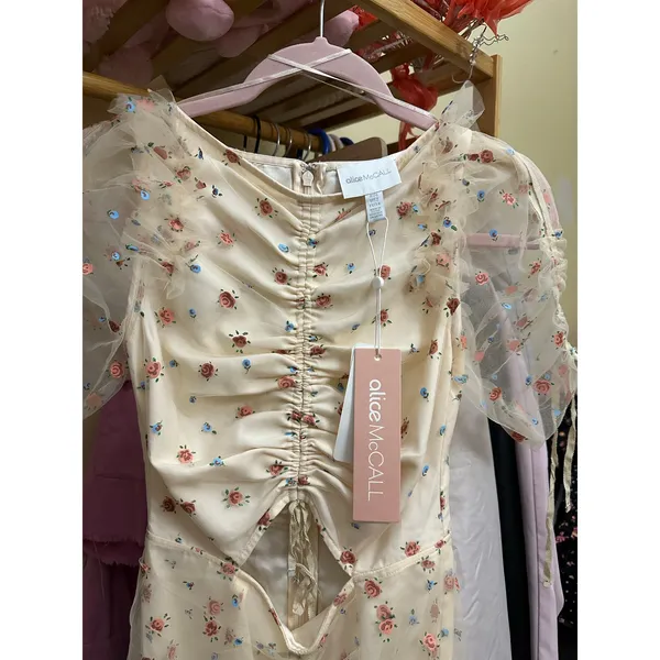 ALICE‎ MCCALL PEACH MOOD FOR LOVE MINI DRESS Size US 2 Brand New - Image 15