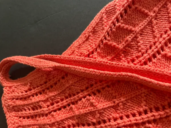 Altar'd State Crochet Tank - Image 4