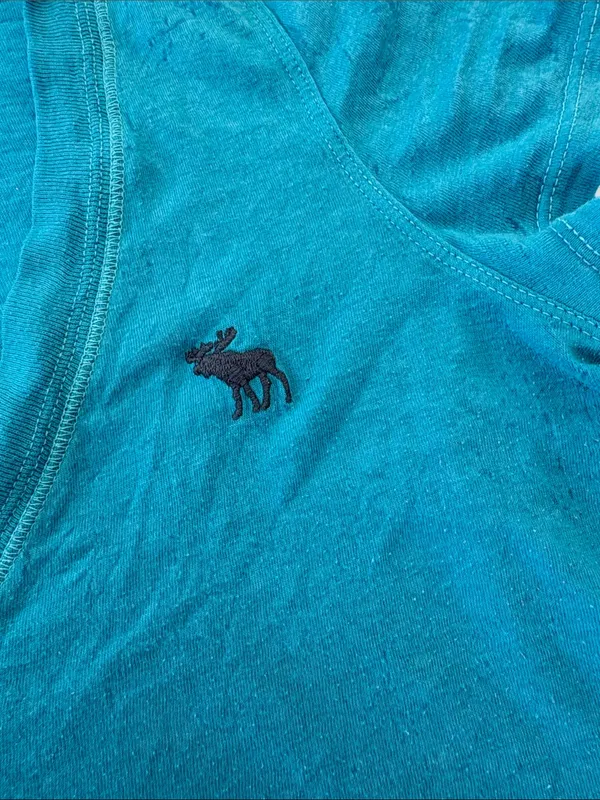 Abercrombie & Fitch size small blue y2k burnout short sleeve V-Neck Tee - Image 3