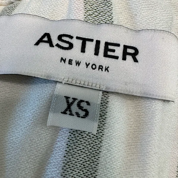 Astier New York Amal Striped Maxi Dress Pink Green XS Ruffle 100% Silk $595 - Image 4