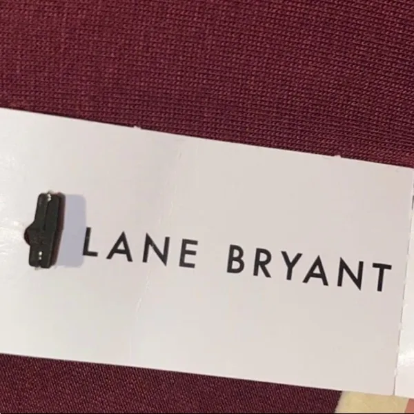 Lane Bryant Cardigan - Image 3