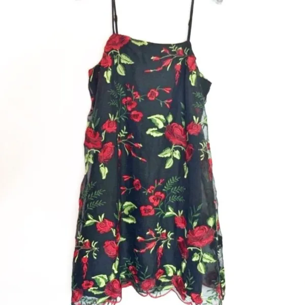 NWT Show me your mumu‎ lace slip dress risque rose - Image 4