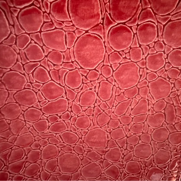 Beijo Pink Patent Leather Crocodile-Embossed Purse Crossbody - Image 7