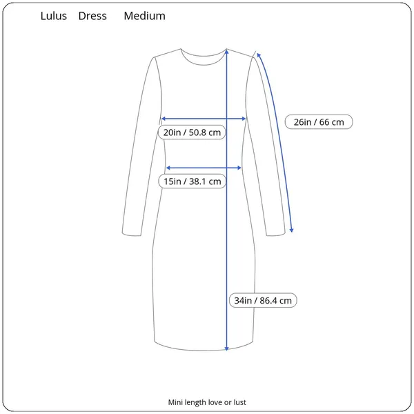 Lulus Women Mini Dress Medium Love or Lust Dark Cottage Festival Whimsy Romantic - Image 15