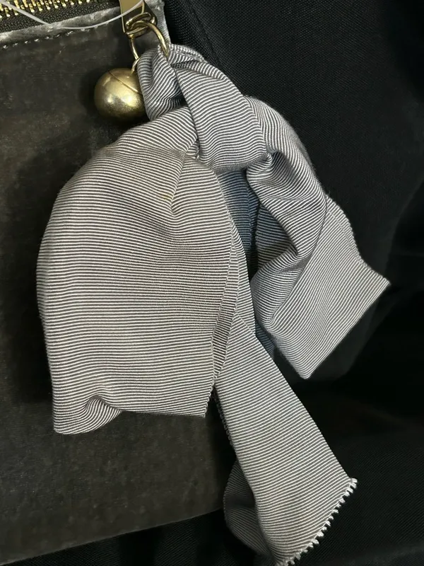 Anne Taylor Gray Velvet Zip Pouch Purse Clutch & Bow Accent NWT - Image 5
