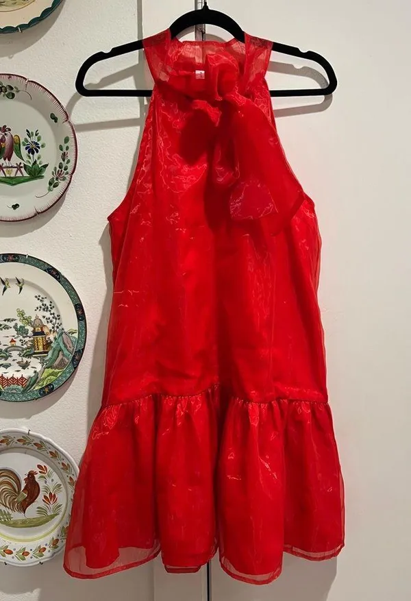 The Clothing Exchange Red Chiffon Dress with Tie Neck - Image 4