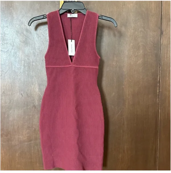 Aritzia Babaton Mini Dress - Image 3