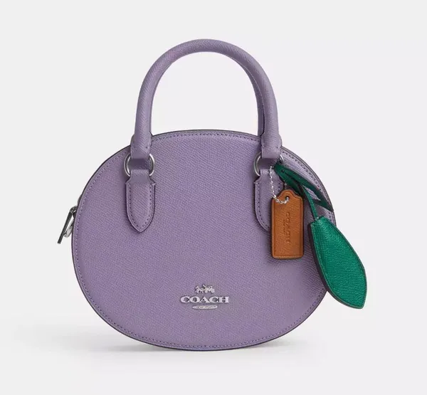 Coach Blueberry Crossbody Bag - Image 6