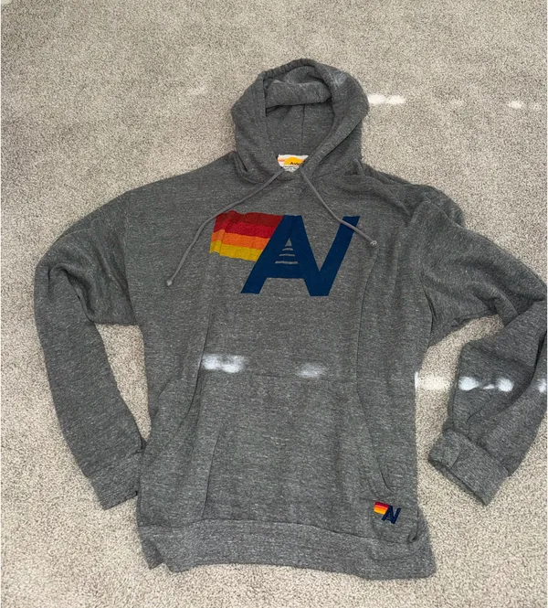 Aviator Nation Hoodie - Image 2