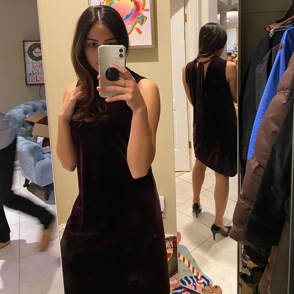 Ann Taylor Plum Velvet Dress - Image 9