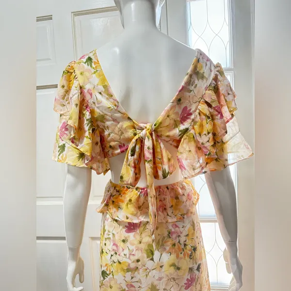Vici Yellow Ruffle Sheer Maxi Chiffon Floral Maxi Dress Size Large J-51 - Image 5