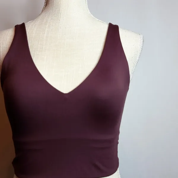 NWT NikeSkims V-Neck Bra Top - Image 4