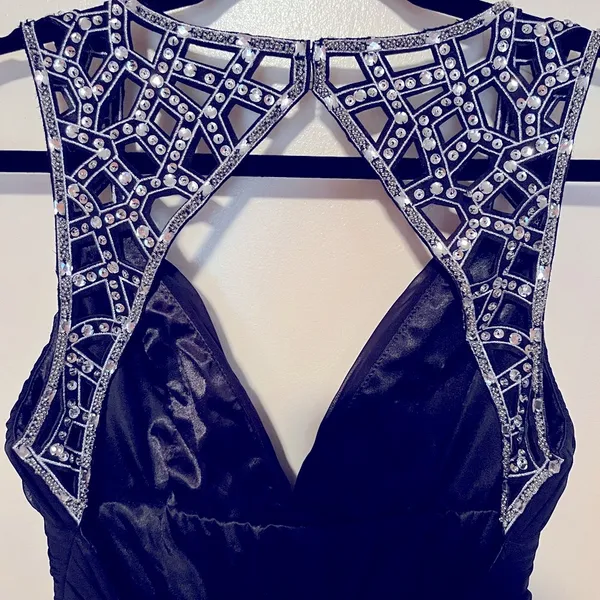 Bee Darlin Evening Gown - Image 3