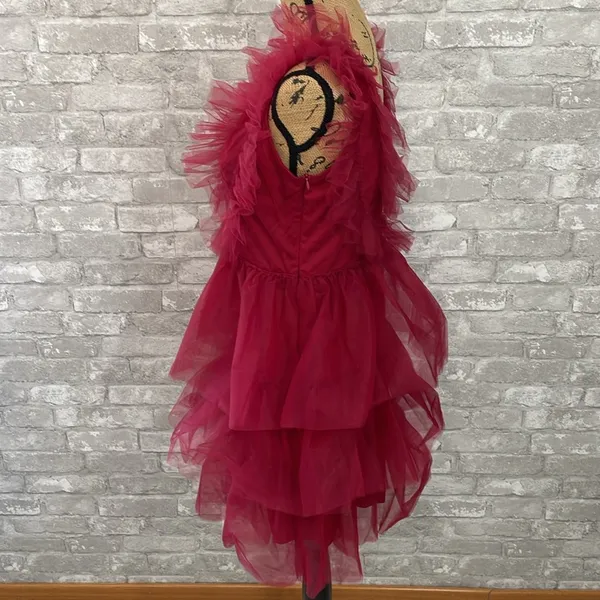 Joyfunear Deep V Neck Mesh Dress - Image 3