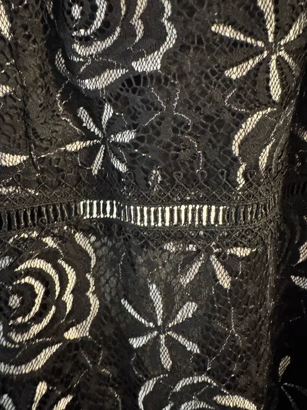 Francesca's Dress Black Lace - Image 5