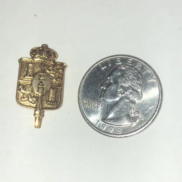 Sigma Delta Pi Coat of Arms Gold Tone Crest Pin - Image 2