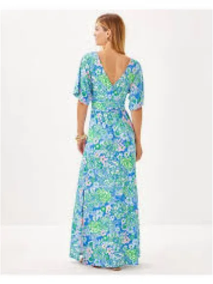 Lilly Pulitzer Parigi Maxi Dress Womens Small Blue Floral NWT Plumes In Bloom - Image 2