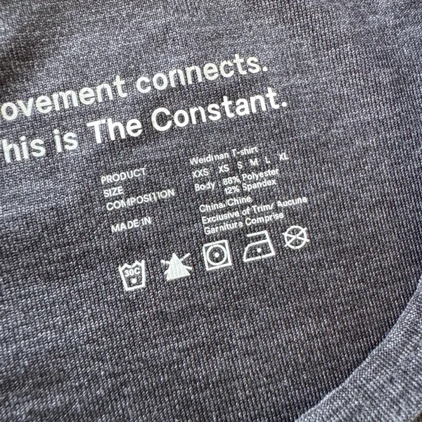 Aritzia The Constant Athletic Weisman T-shirt - Image 4