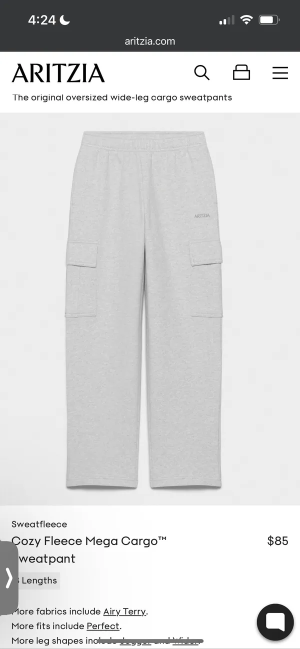 Aritzia Cargo Sweatpants - Image 4