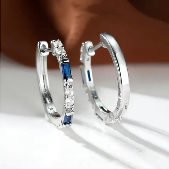 Zircon Blue & White Silver Earrings - Image 3