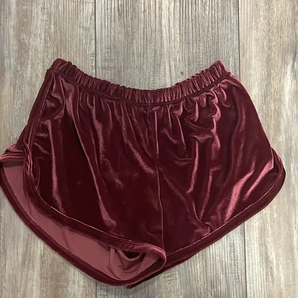 Brandy Melville Velvet Shorts - Image 2