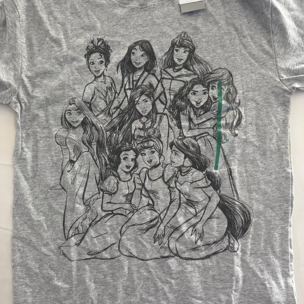 Disney Princess T-shirt Gray with Princess Graphic Size Small New with Tags - Image 2