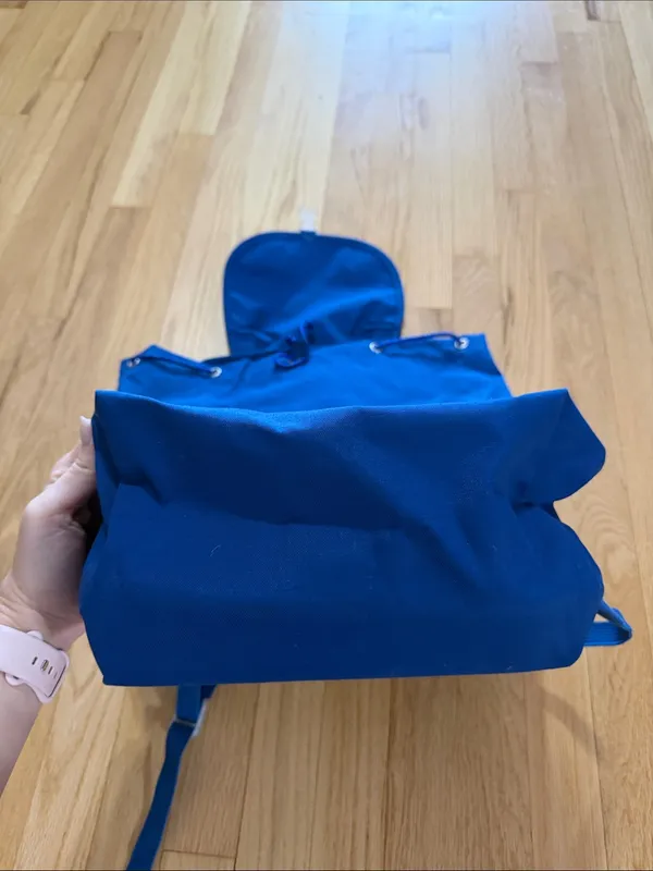 Baggu Blue Drawstring Backpack - Image 8