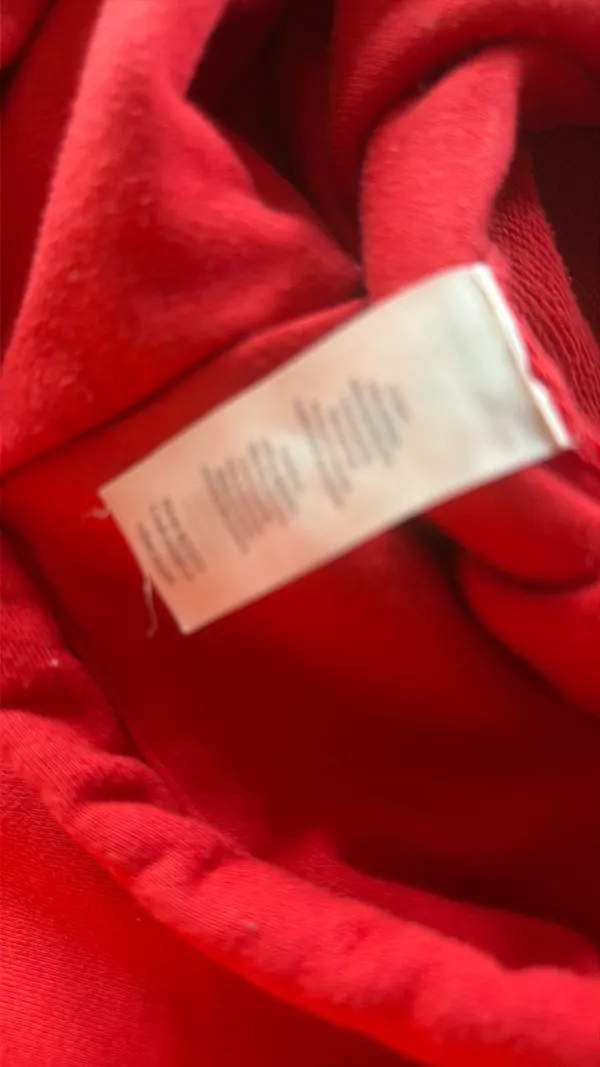Alo Yoga Hoodie - Image 4