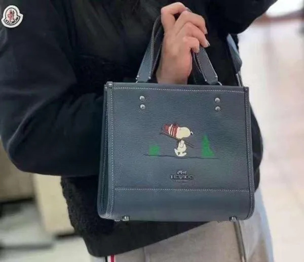Coach X Peanuts Dempsey Tote 22 With Snoopy Ski Motif ce849 - Image 5