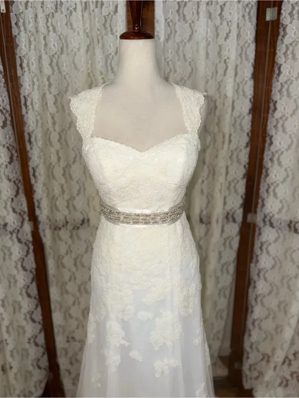 Gorgeous David’s Bridal Queen Anne Lace Overlay Wedding Gown - Image 4
