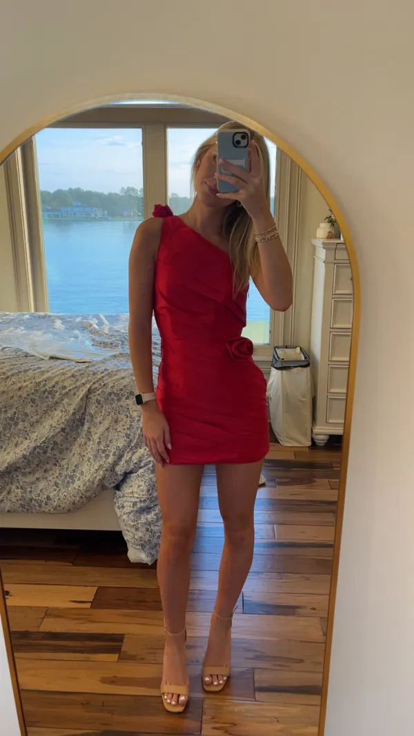 Showpo Dress - Image 2