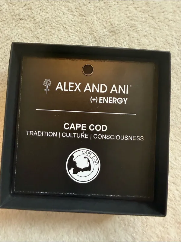 Alex and Ani Cape Cod Charm Bangle - Image 5