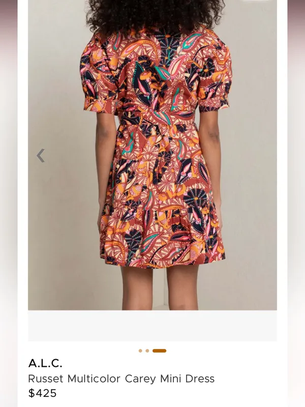 ALC Frank Russet multicolor carey mini dress MSRP $425 size 4 - Image 2