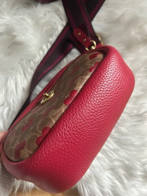 Coach Camera Bag Signature Canvas Heart Print Crossbody C8390 - Image 5