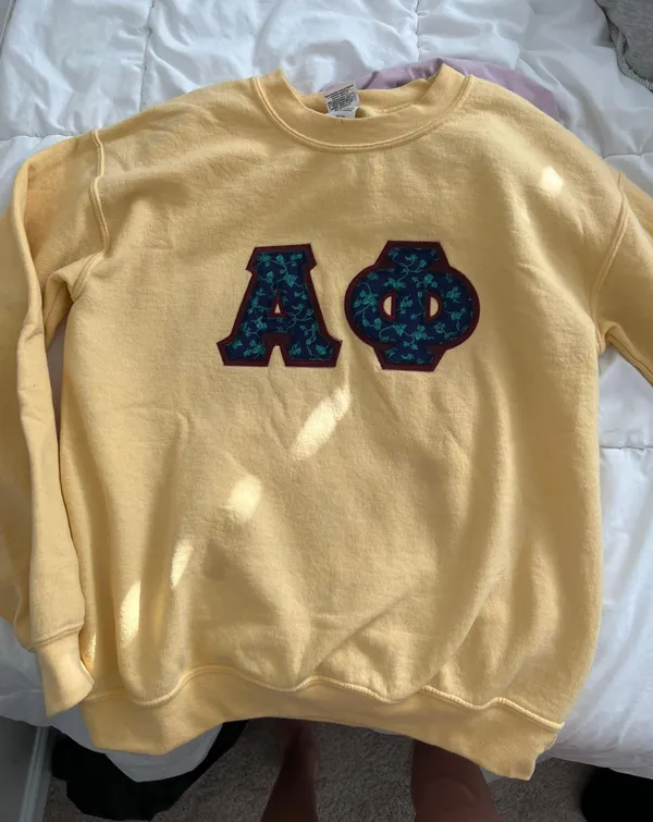 Comfort Colors Crewneck - Image 2