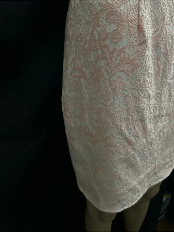 Moon Sleeveless Pink Lace Sheath Dress XS - SM - Image 6